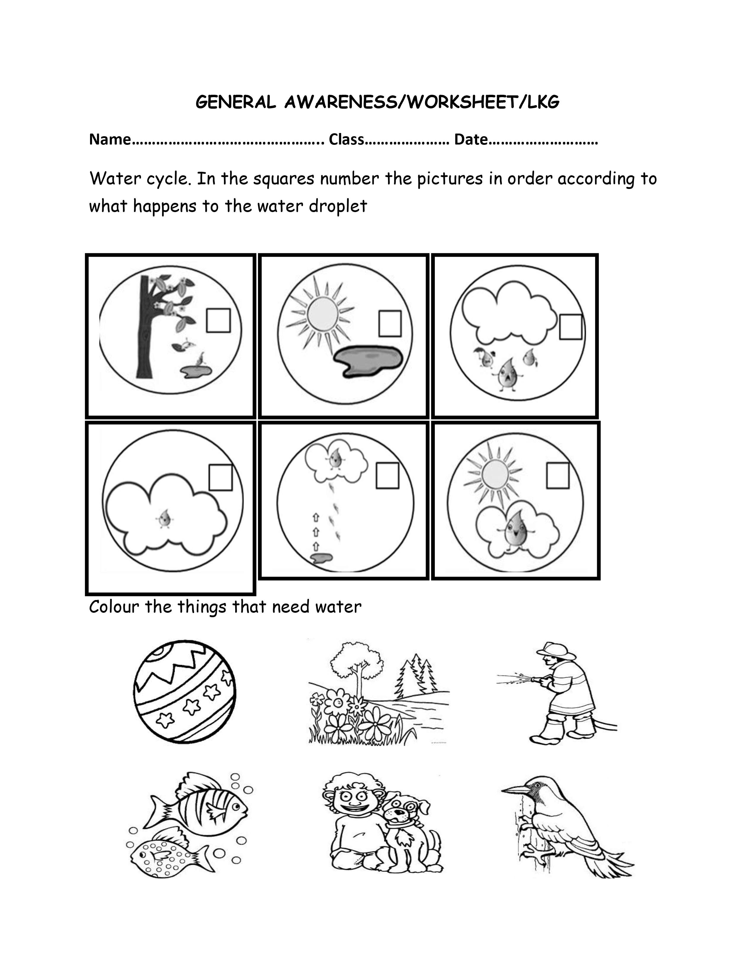 Inn Education consultancy