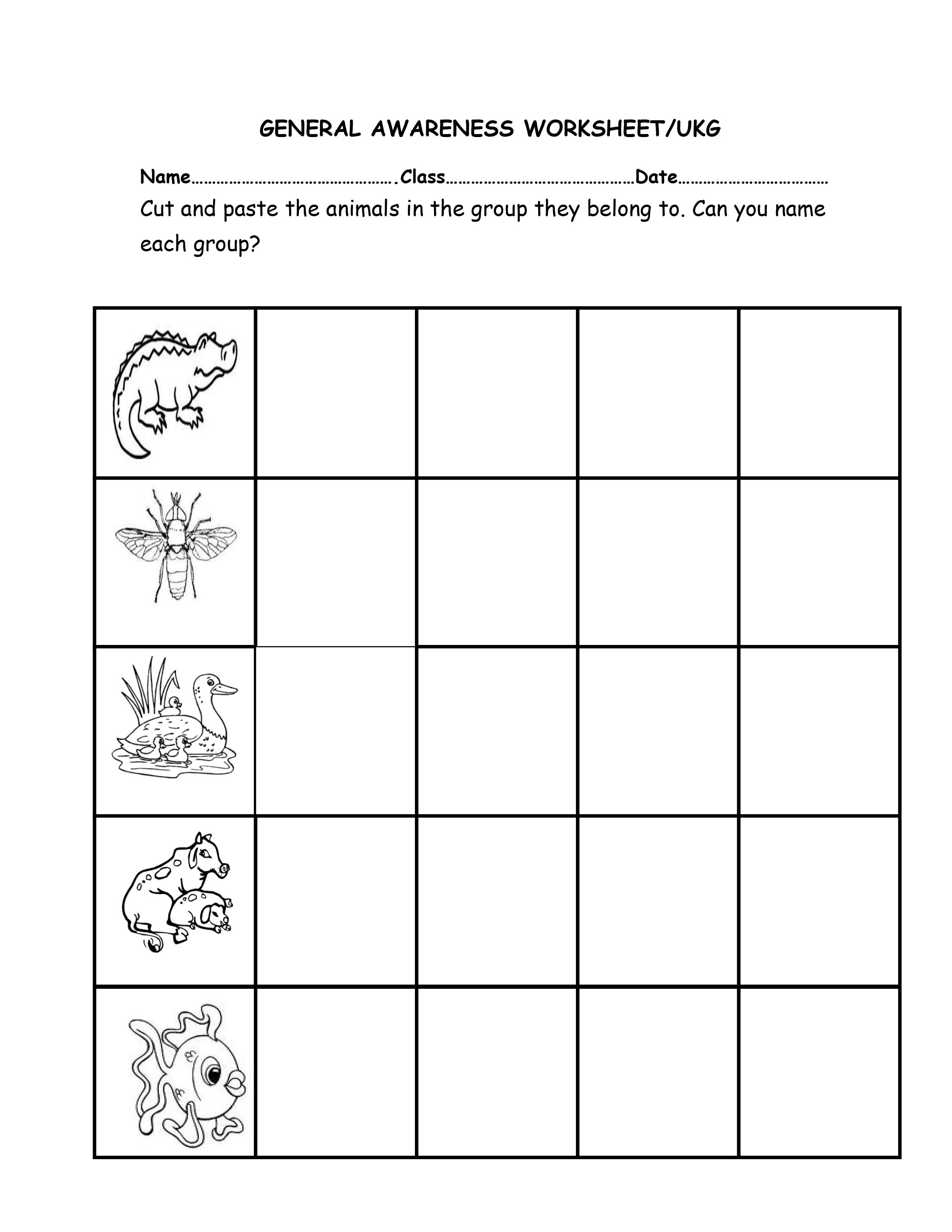 Inn Education consultancy